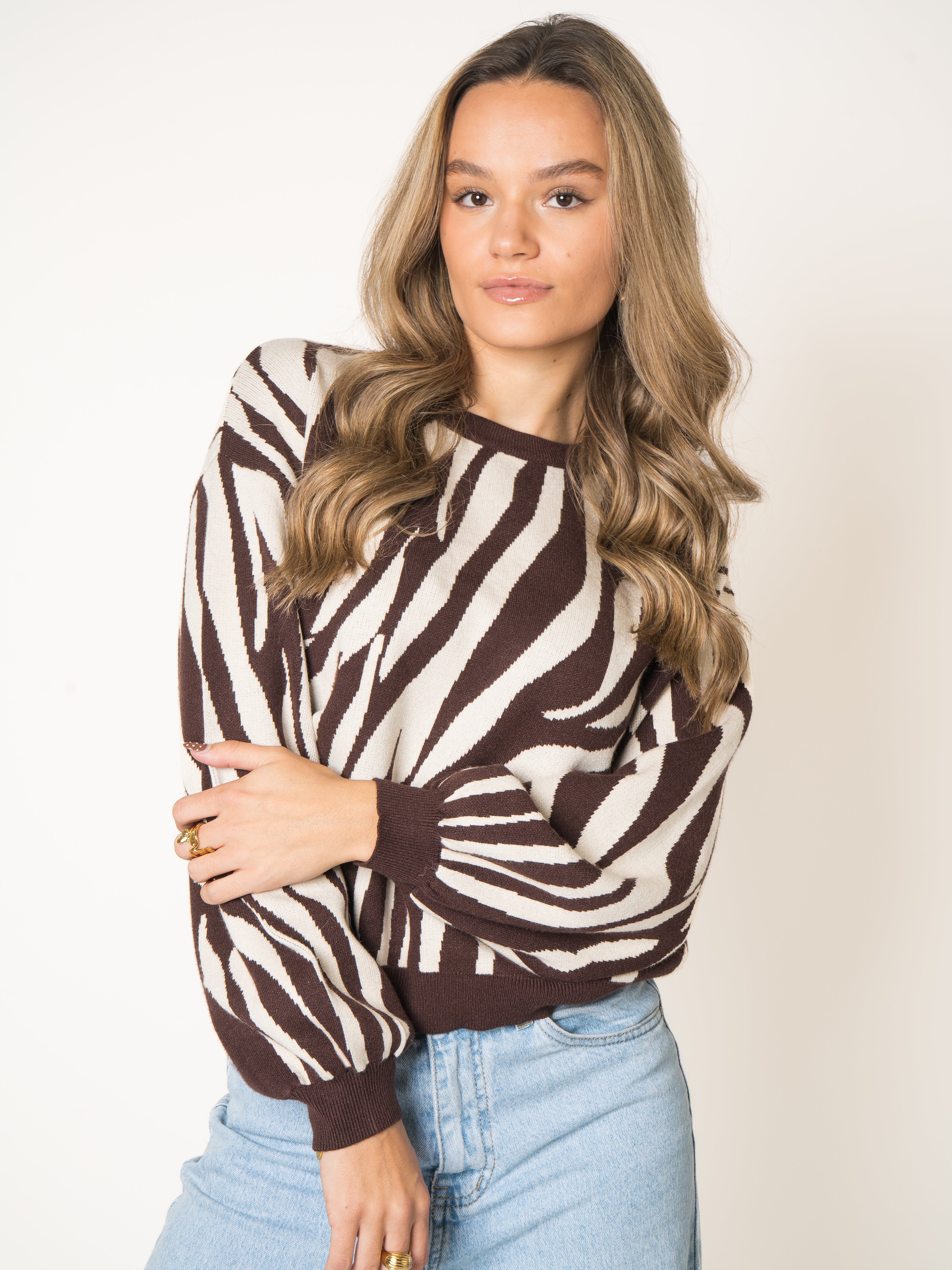 Zebra Knit Sweater