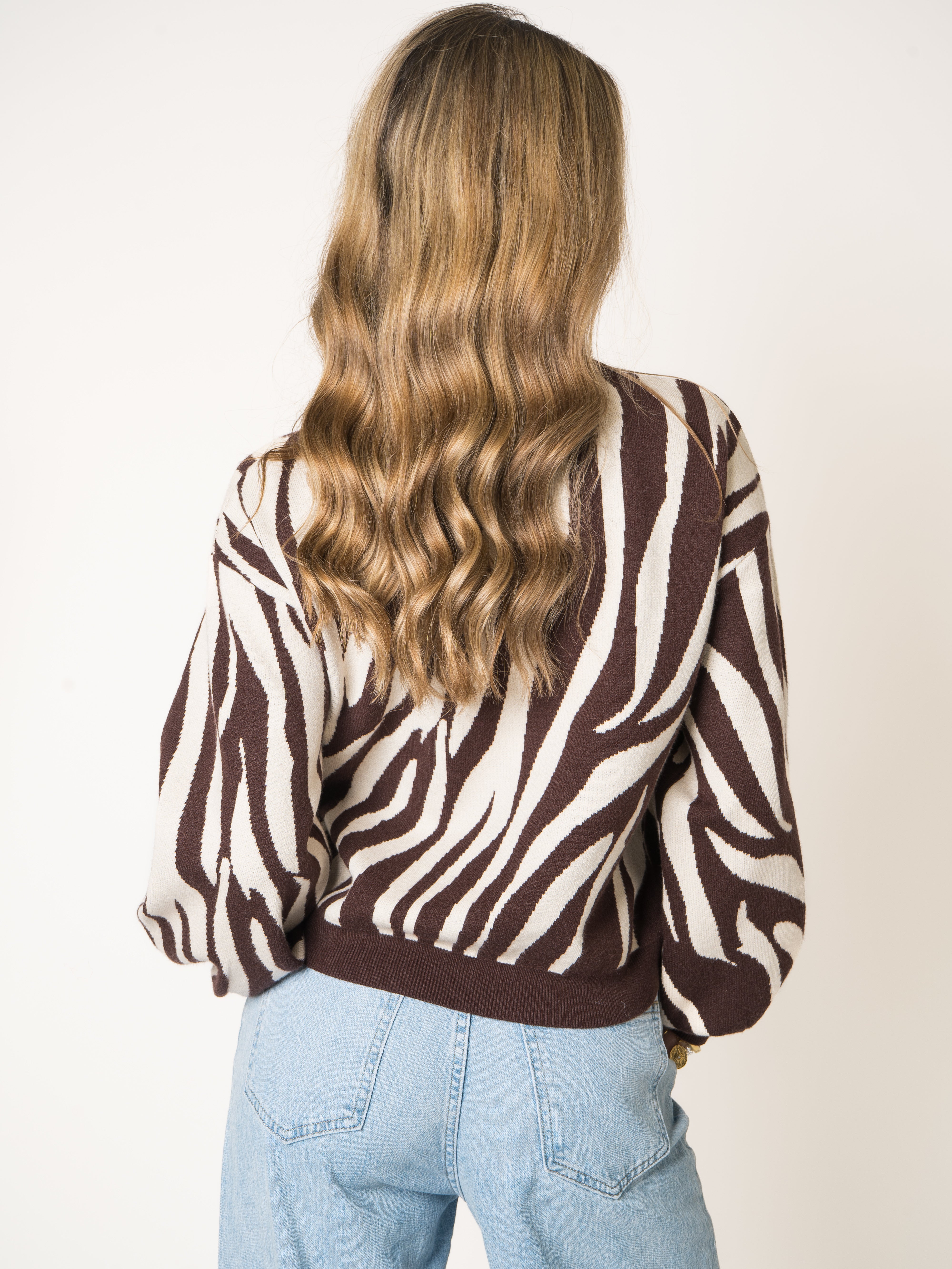 Zebra Knit Sweater