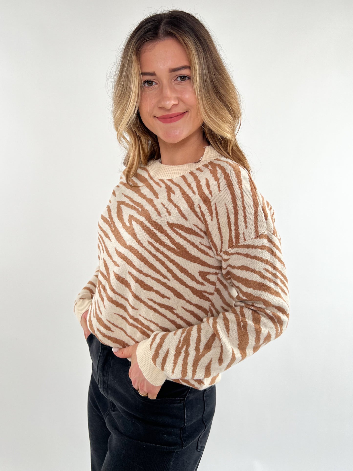 Zebra Pullover soft braun beige